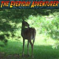 The Everyday Adventurer : The World Waits For You