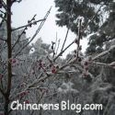 Living and Writing in China : The Highs and Lows of the Waking Dragon