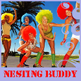 Nesting Buddy : 