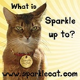Sparkle : Award-winning author, advice columnist, supermodel - and cat!
