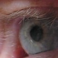 Road Safety : What eye see is what you get at donssite.com