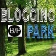 Blogging Park : An Indian dofollow site with blogging tips,seo,money making ideas 