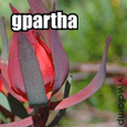gpartha : new